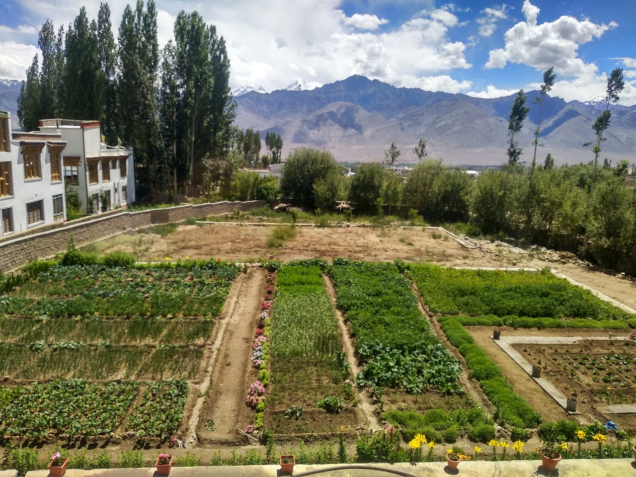 View of garden and mountain range.